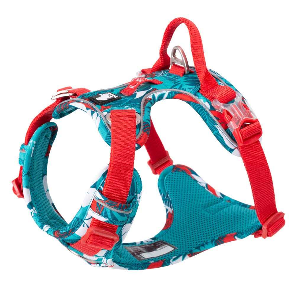 No Pull Dog Harness with Quick-Release Neck Strap P59719
