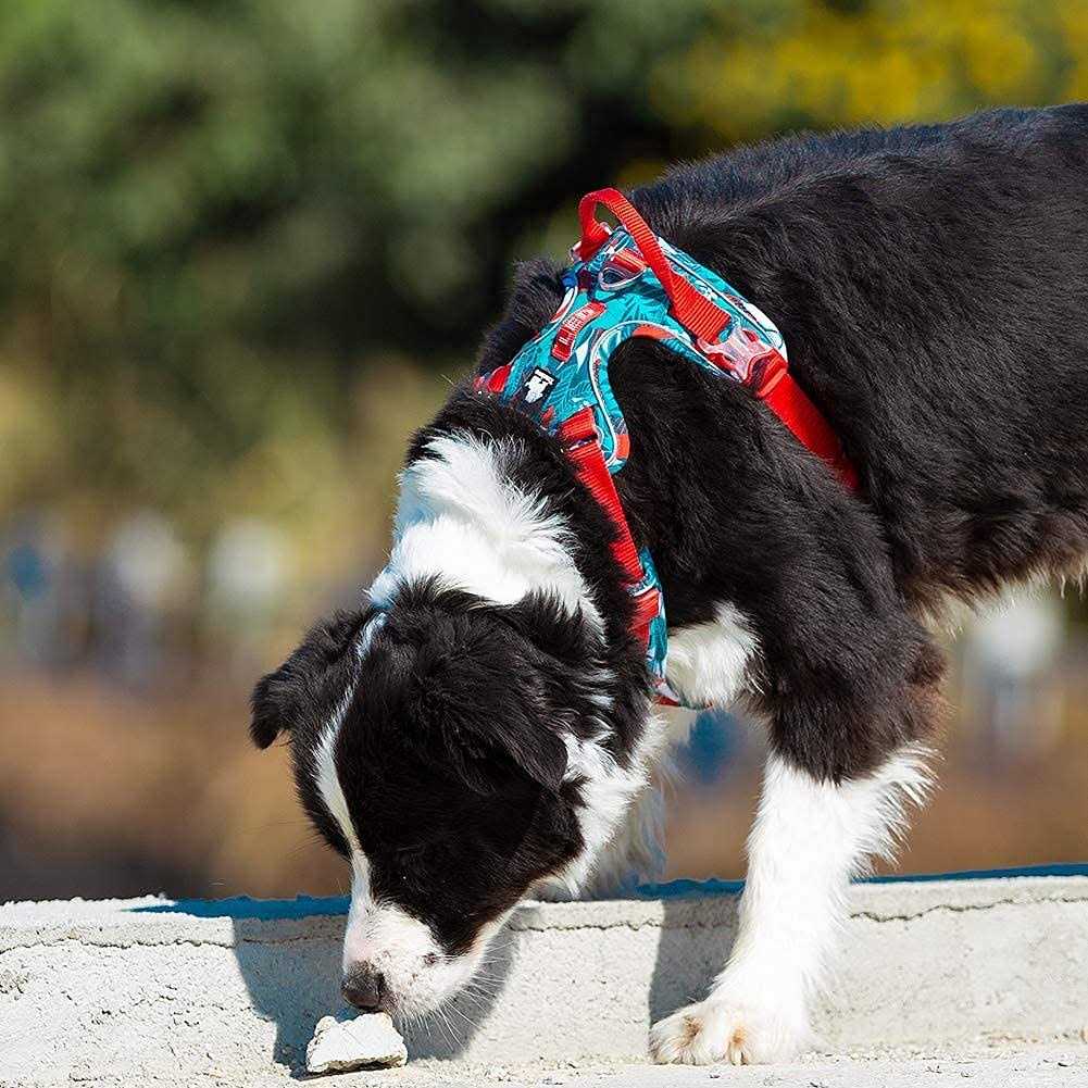 No Pull Dog Harness with Quick-Release Neck Strap P59719