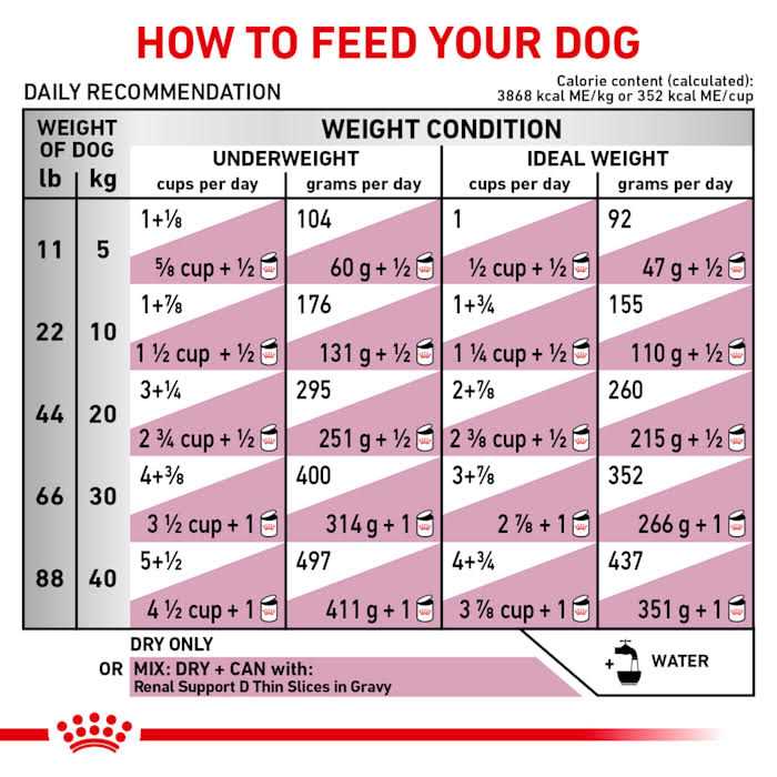 Veterinary Diet Renal Support Dry Dog Food J375