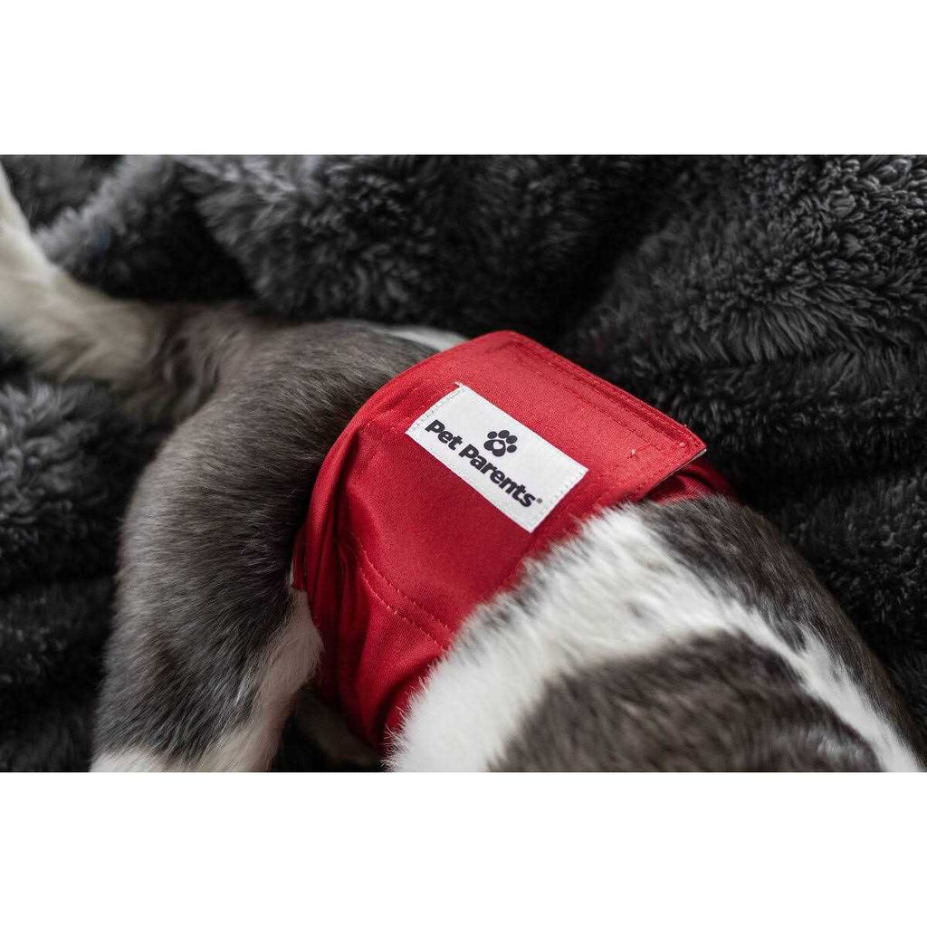 Washable Dog Belly Bands X984