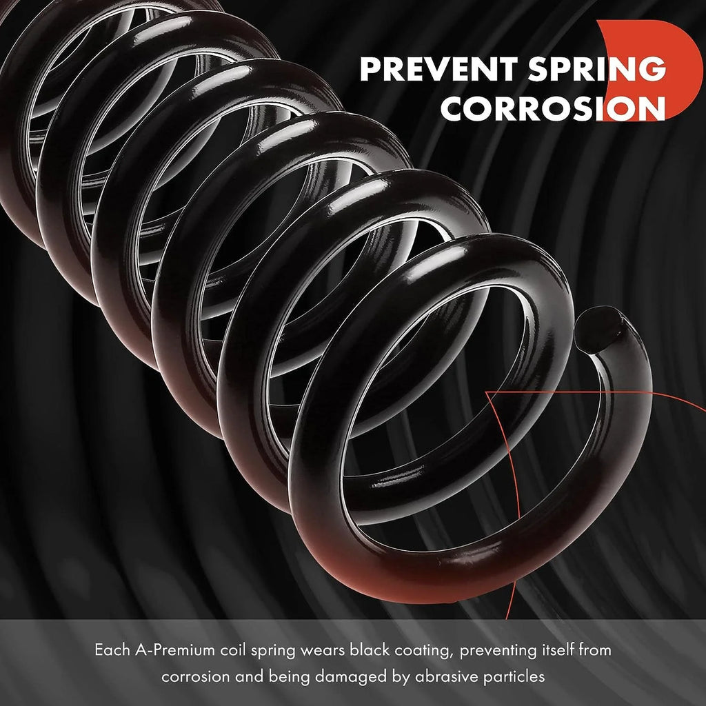 2Pcs Rear Left and Right Suspension Coil Spring Set T88010
