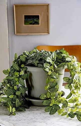 Classic Pot 8 inch Y838