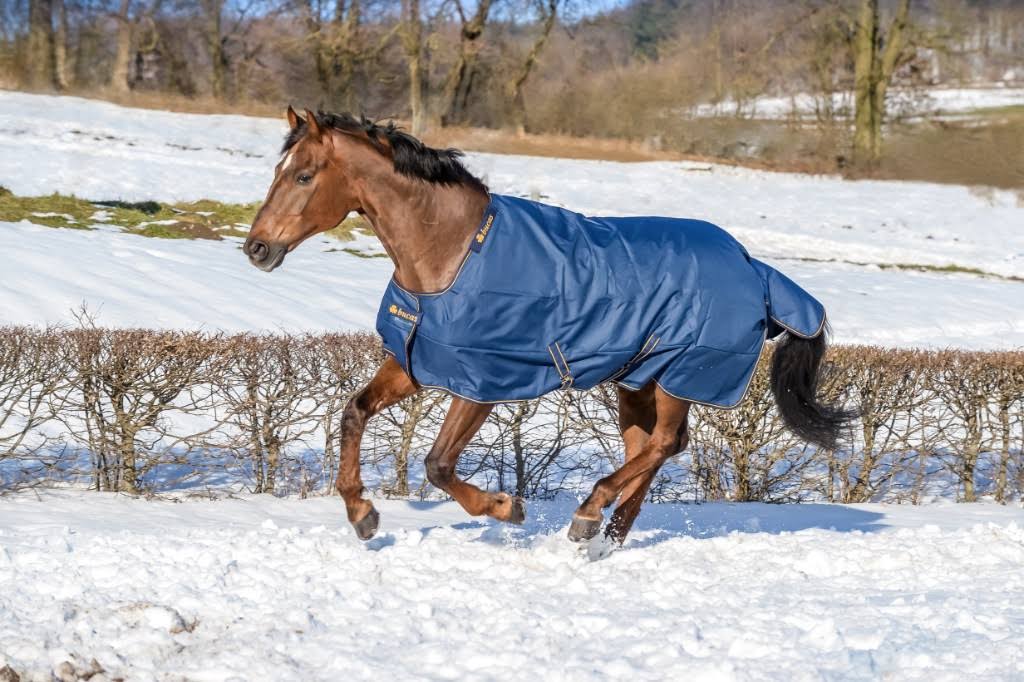Navy Irish Turnout Extra D137450