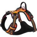 Premium Dog Harness Quick Release Neck Buckle Q742022