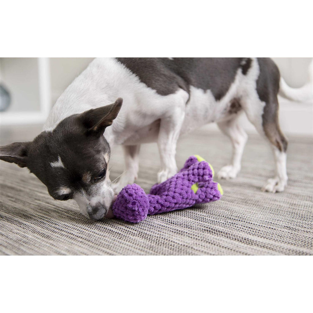 Squeaky Plush Dog Toy G901636