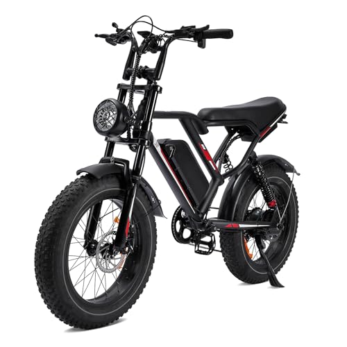1000W 20" Fat Tire Electric Bike Z304