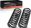 2Pcs Rear Left and Right Suspension Coil Spring Set T88010