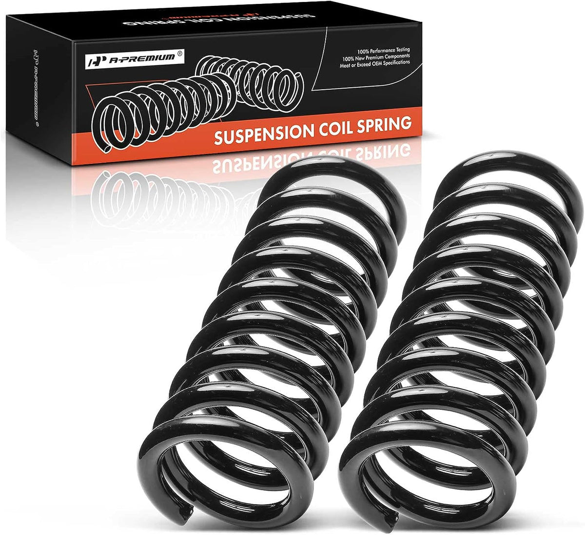 2Pcs Rear Left and Right Suspension Coil Spring Set T88010
