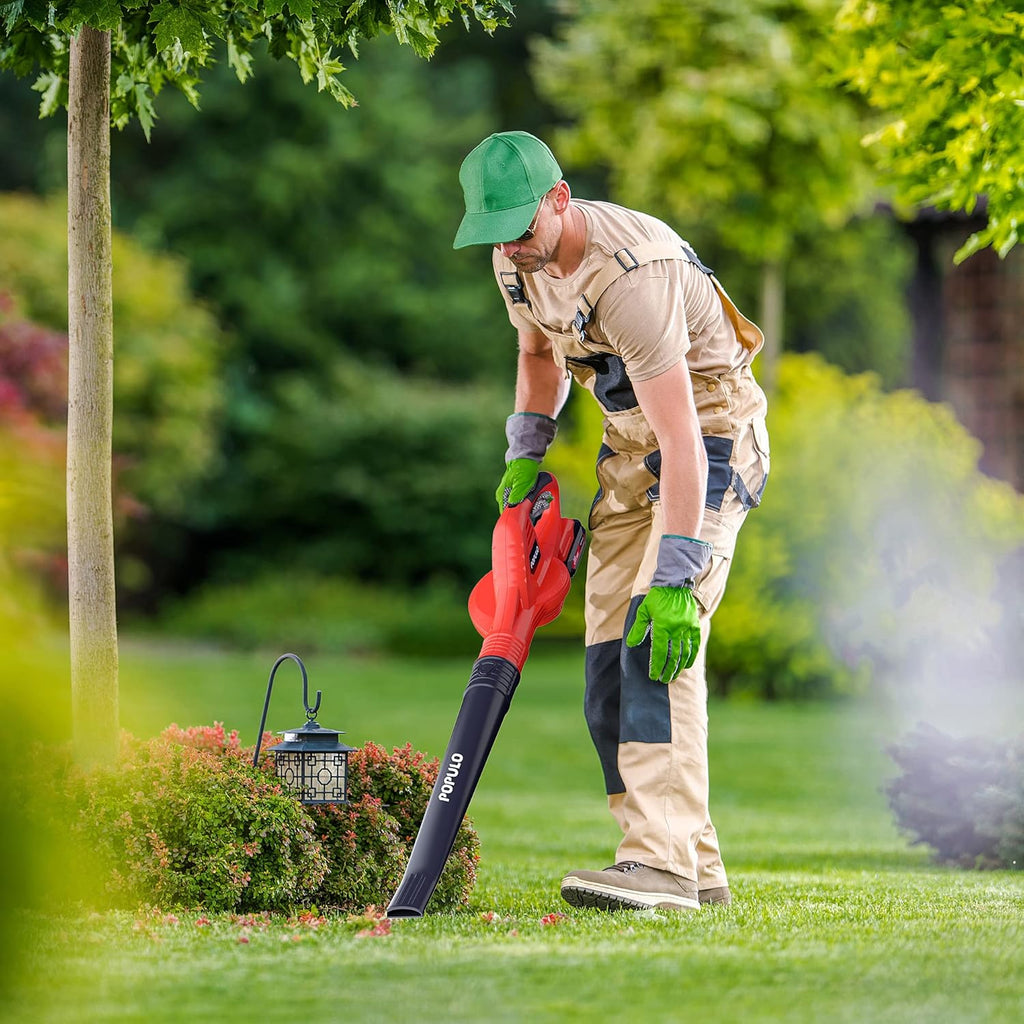 20V Cordless Leaf Blower with 2.0Ah Battery and Fast Charger D735860