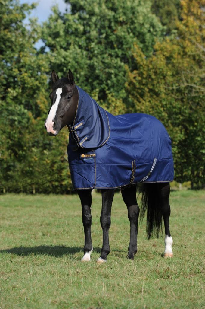 Navy Irish Turnout Extra D137450