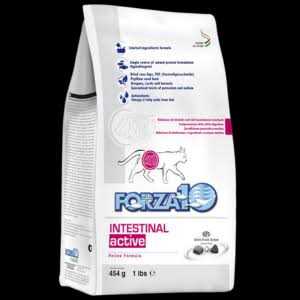 Intestinal Support Diet Dry Cat Food U157