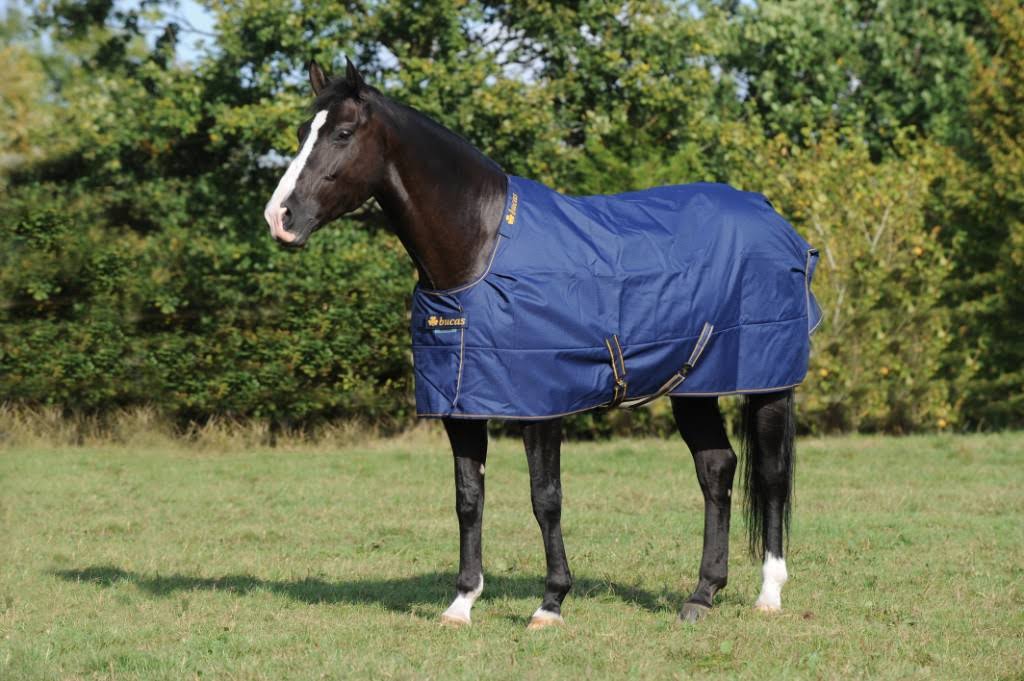 Navy Irish Turnout Extra D137450