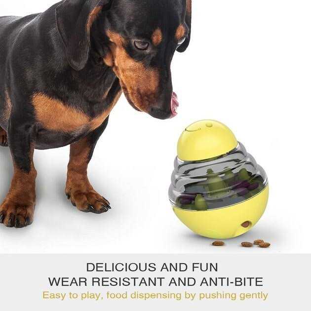 Toothbrush Dog Chew Toy L3757