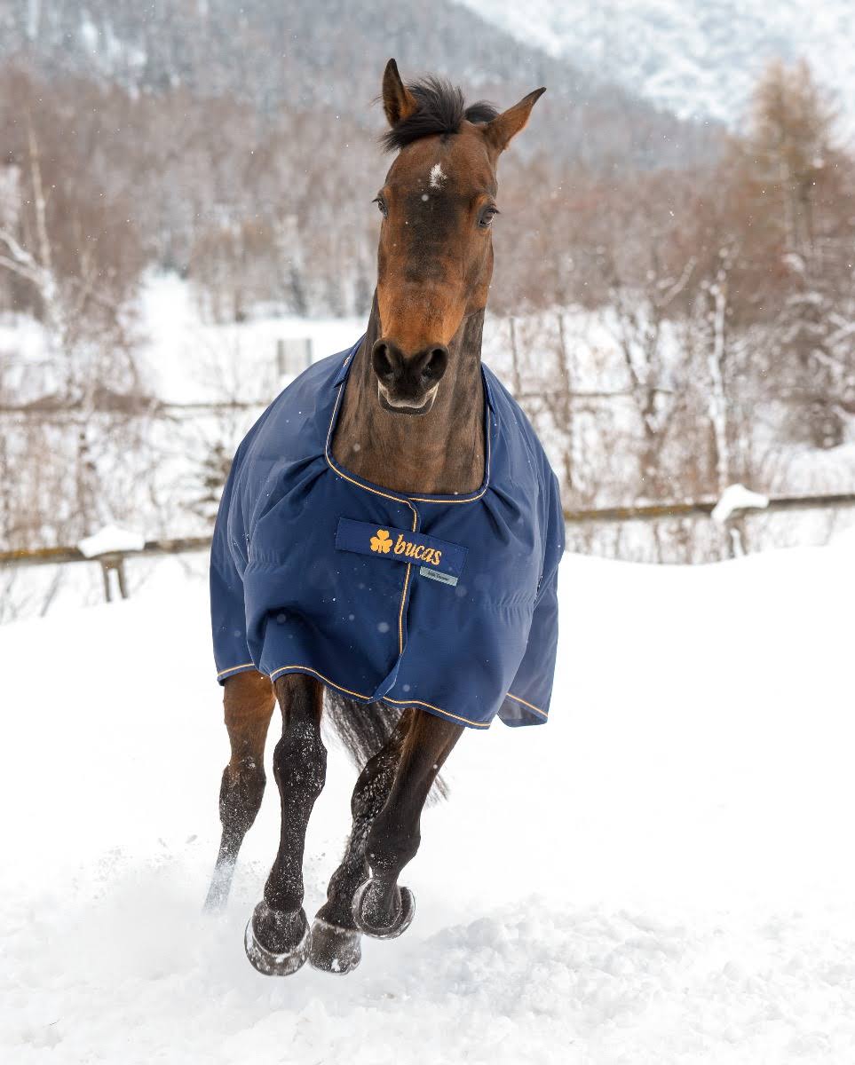 Navy Irish Turnout Extra D137450