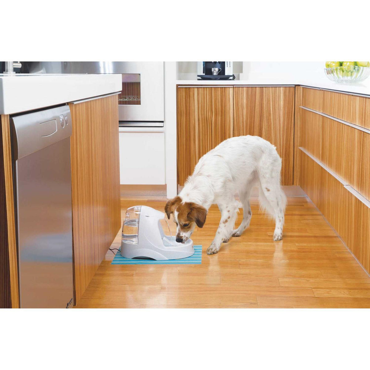 Platinum Pet Fountain V84501