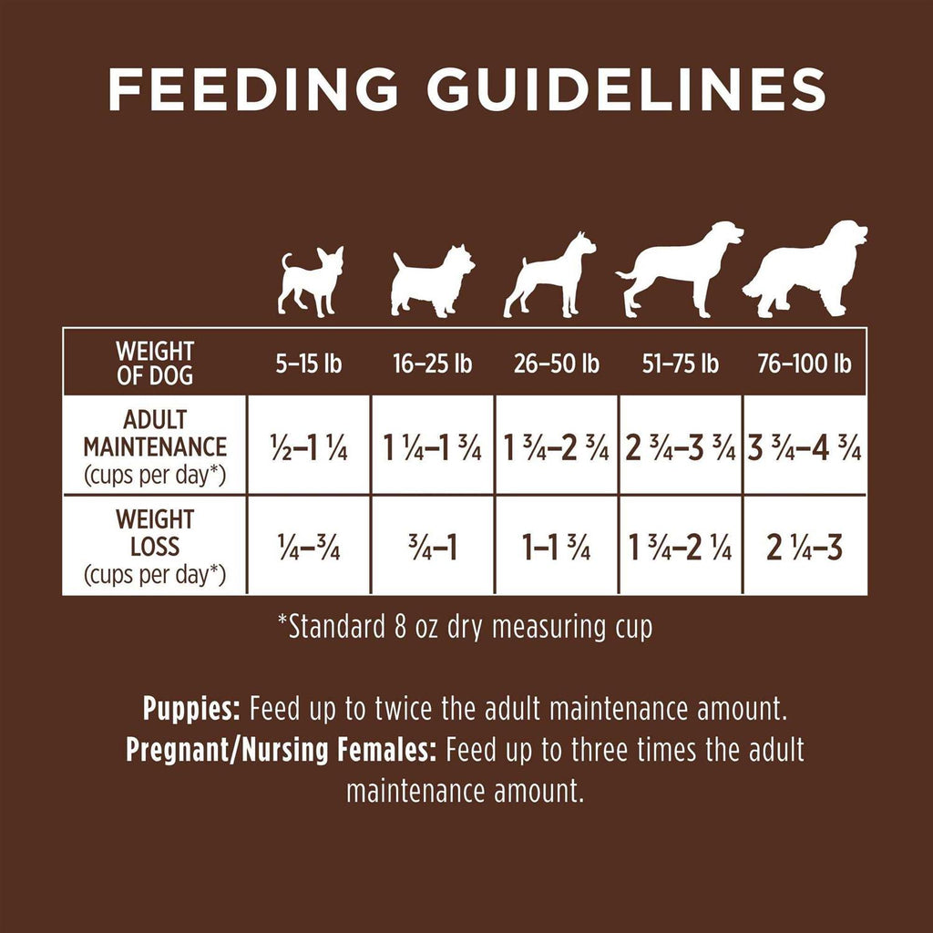 Chicken & Brown Rice Recipe Dry Dog Food Y469062