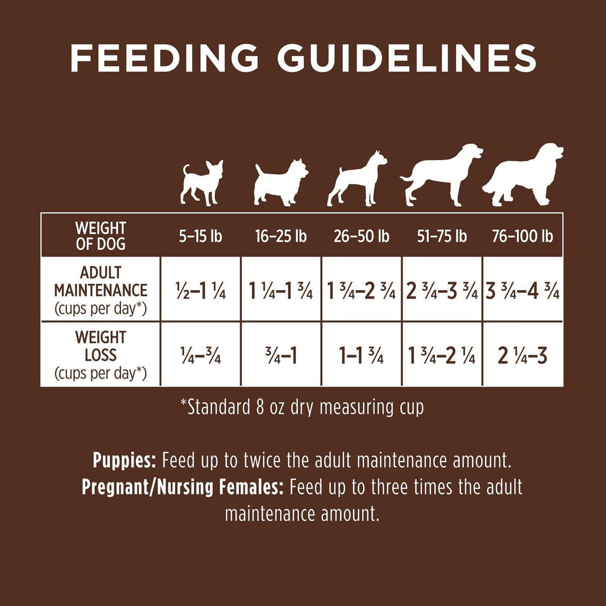 Chicken & Brown Rice Recipe Dry Dog Food Y469062