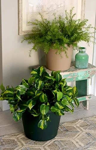 Classic Pot 8 inch Y838
