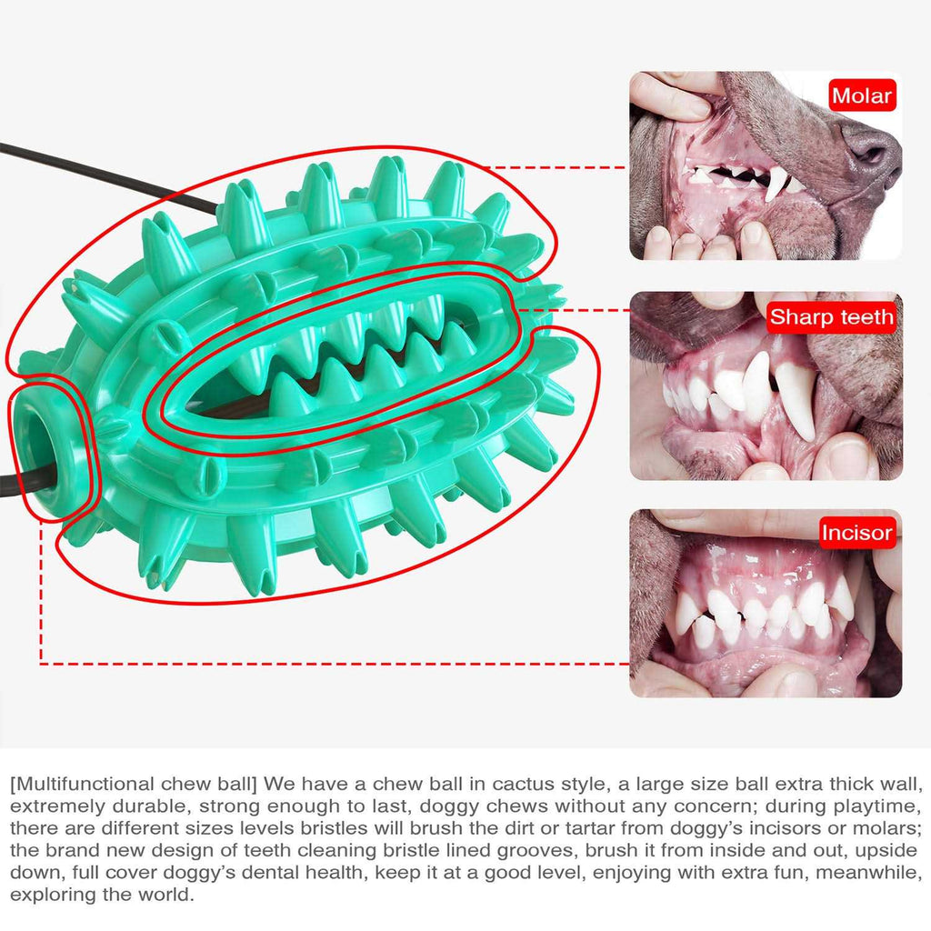 Toothbrush Dog Chew Toy L3757