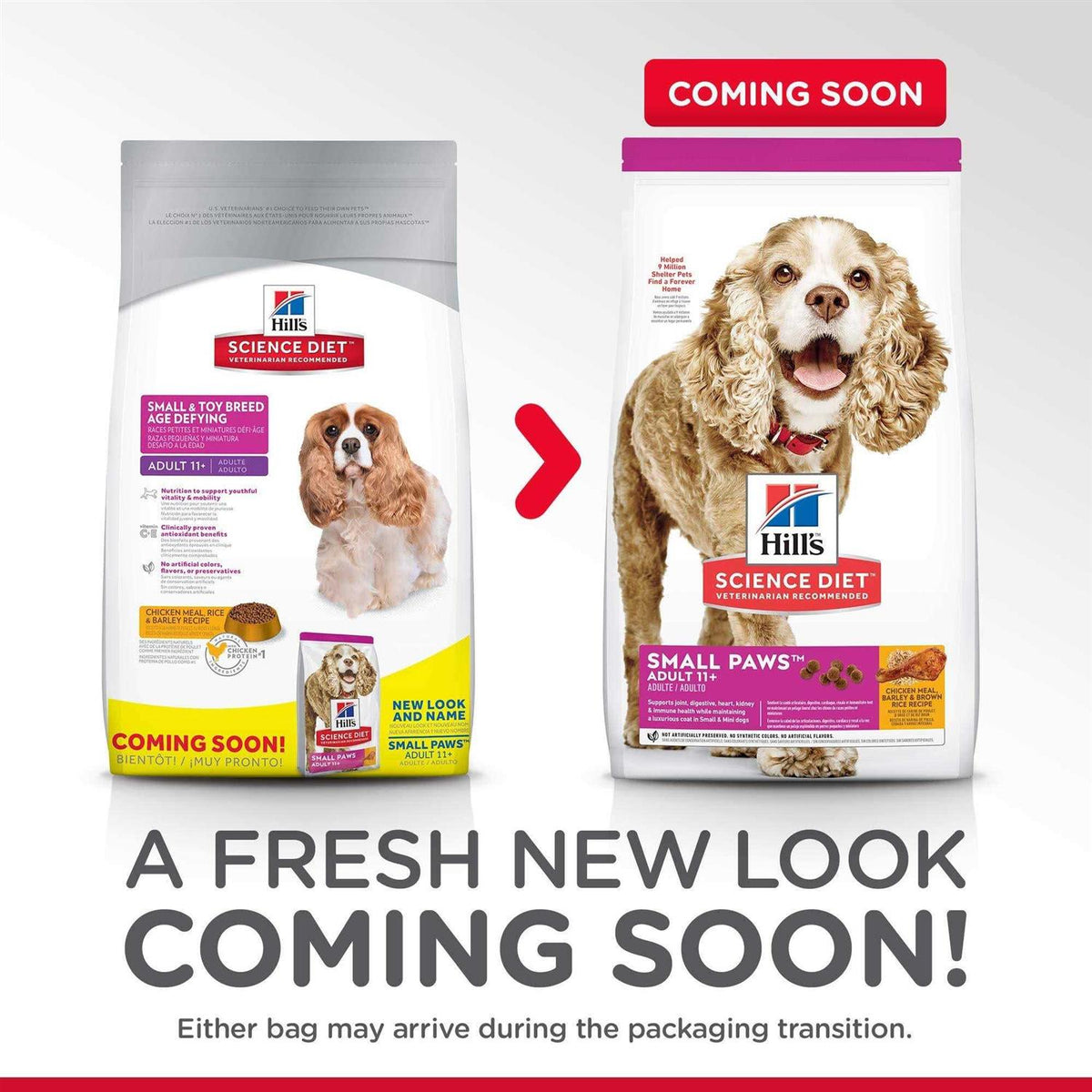 Small Dog Food C23506