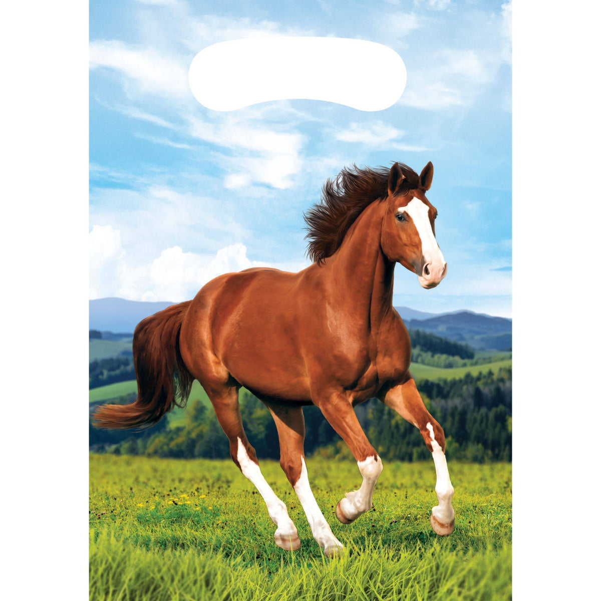 Horse & Pony Favor Bags 8 Pack G6017