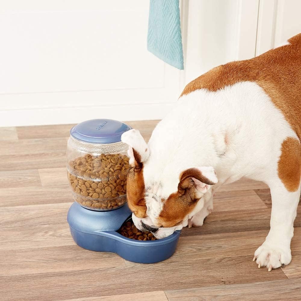 2 LB Automatic Pet Feeder A65765
