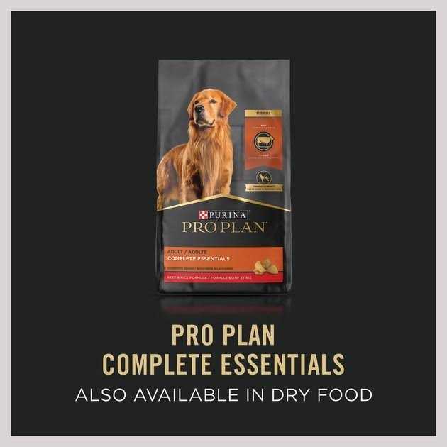 Beef & Rice Wet Dog Food Z701981