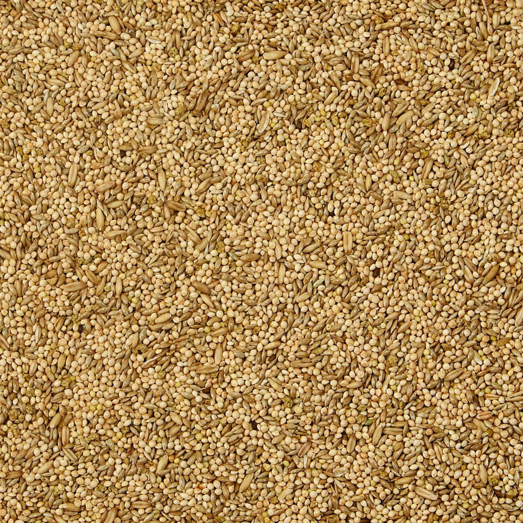 Parakeet Food Y38984