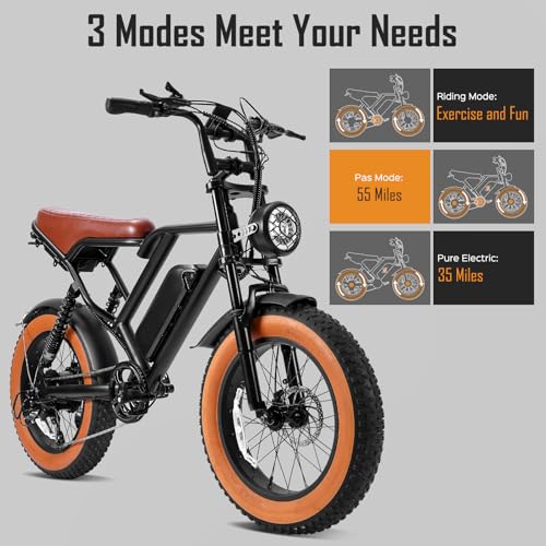 1000W 20" Fat Tire Electric Bike Z304