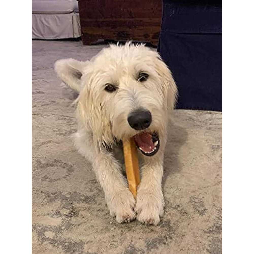 Himalayan Yak Cheese Dog Chew XL R42786
