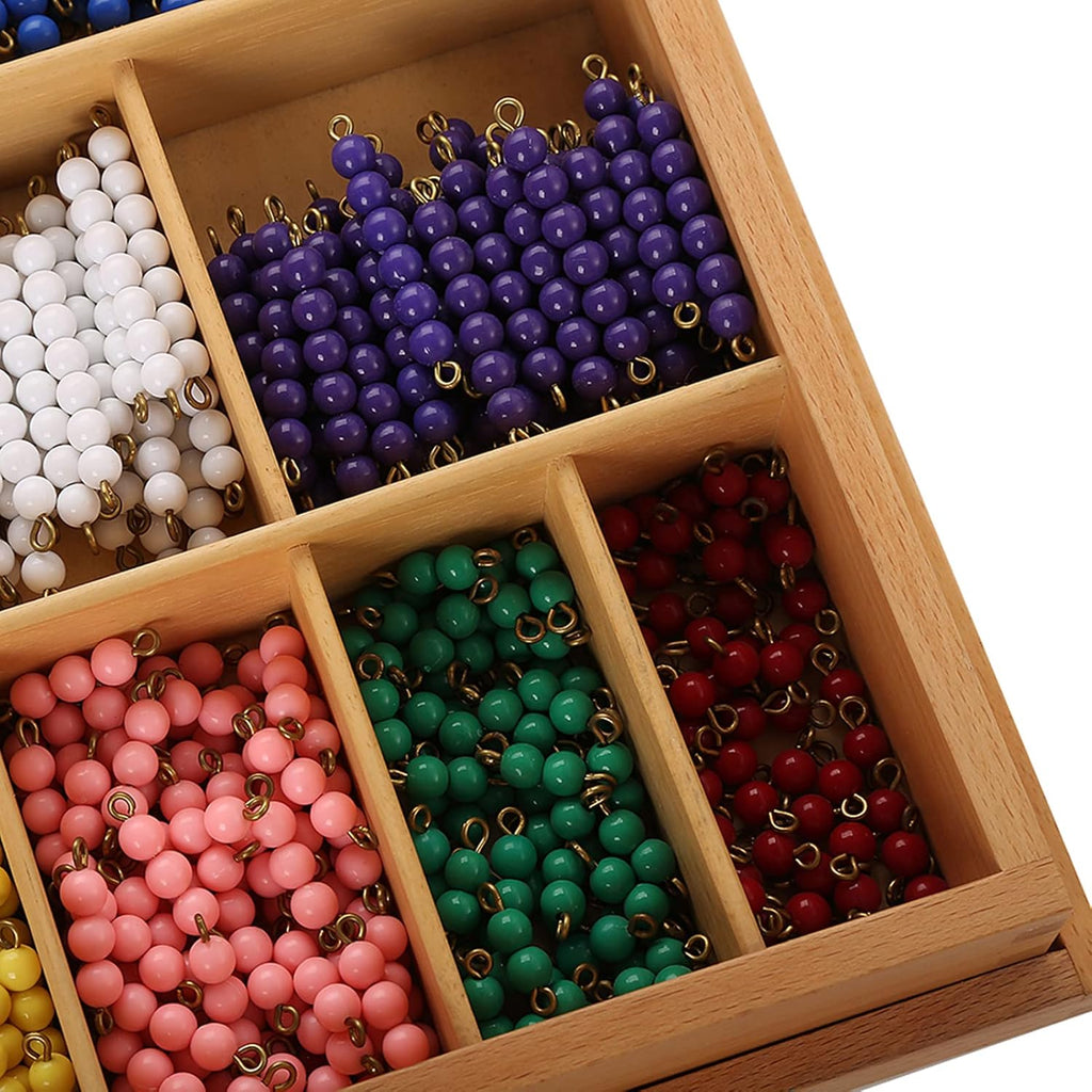 Montessori Math Materials Bead Decanomial with Box Q4132
