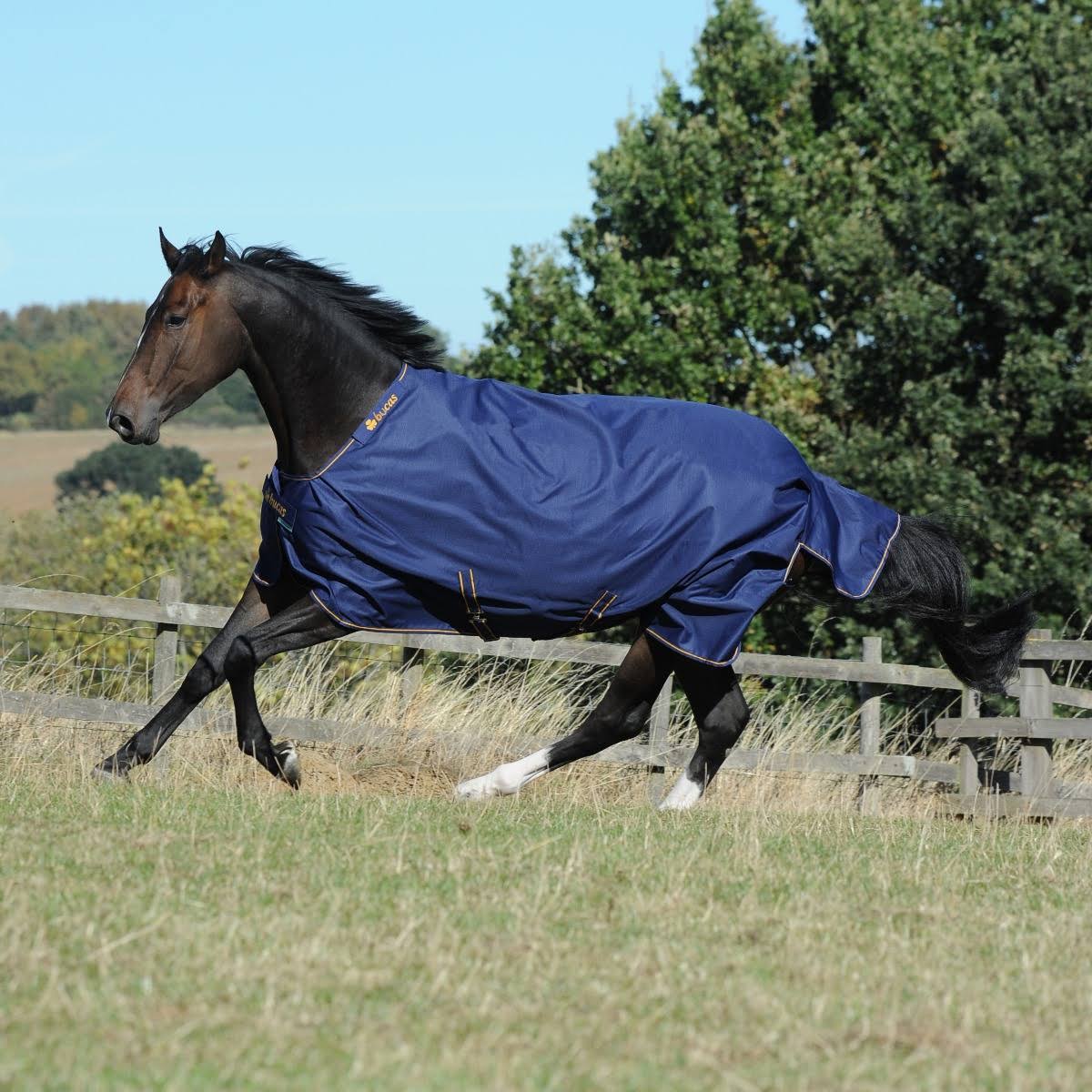 Navy Irish Turnout Extra D137450
