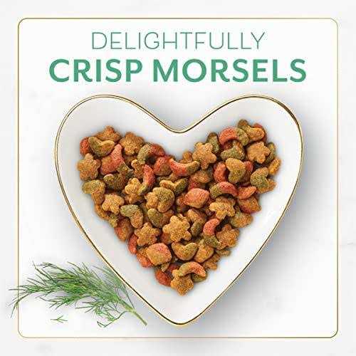 Ocean Fish and Salmon Dry Cat Food Y557