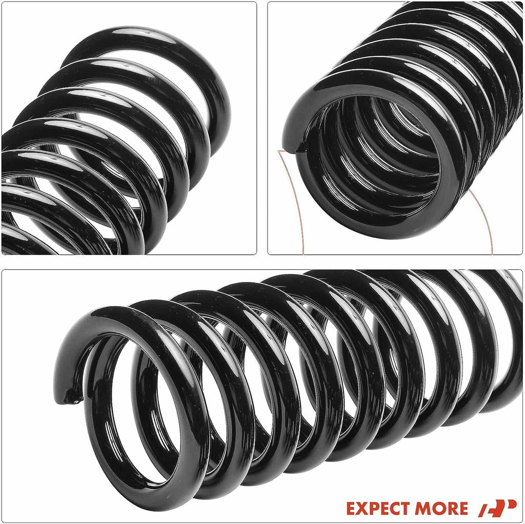 2Pcs Rear Left and Right Suspension Coil Spring Set T88010