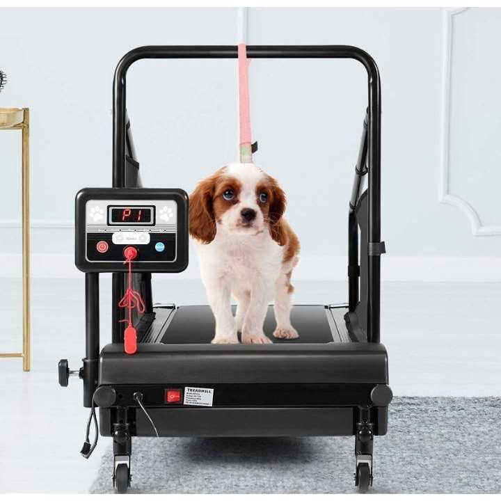 Dog Treadmill for Small Medium Dogs Pet Running Training Machine R249470