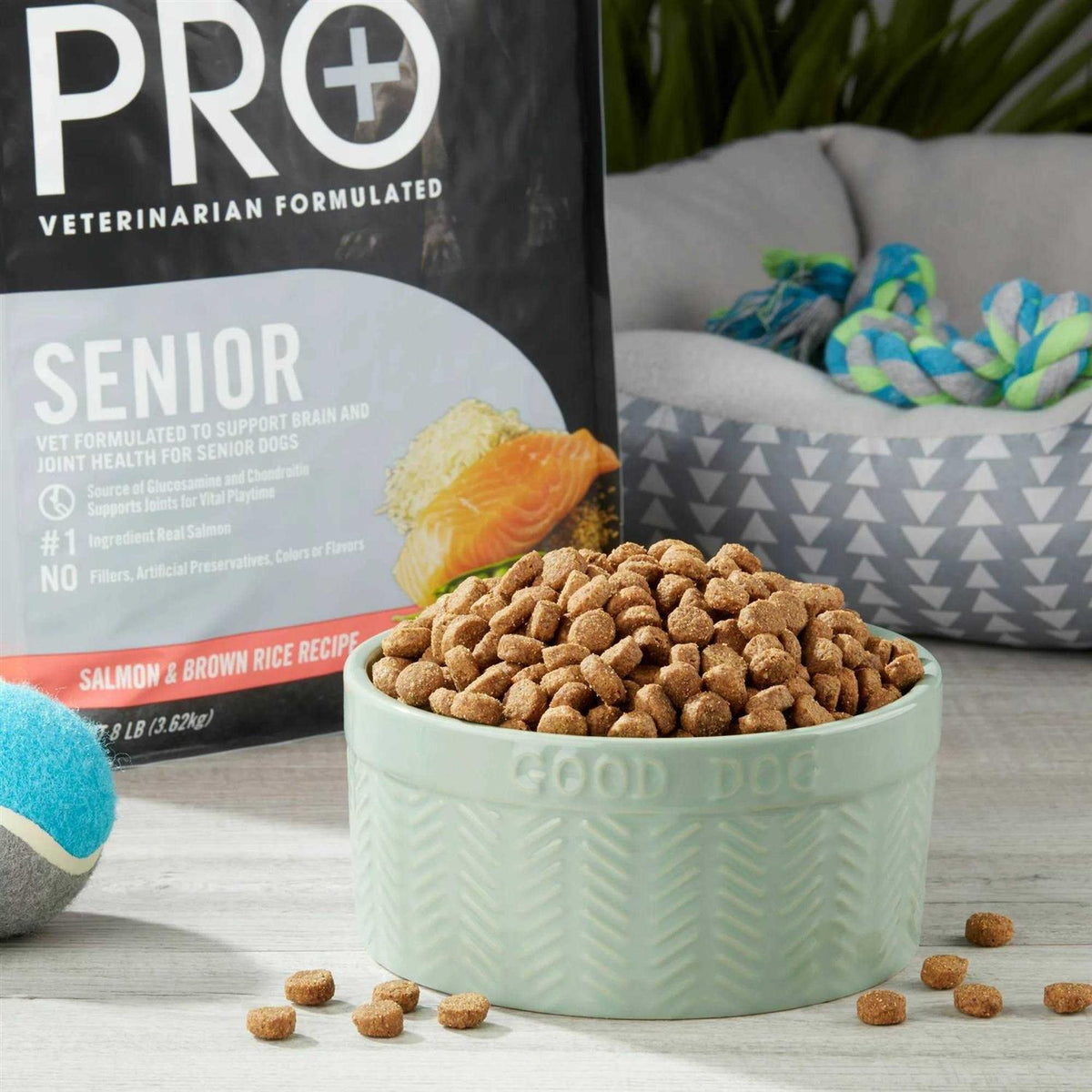 Salmon & Brown Rice Recipe Dry Dog Food M699513