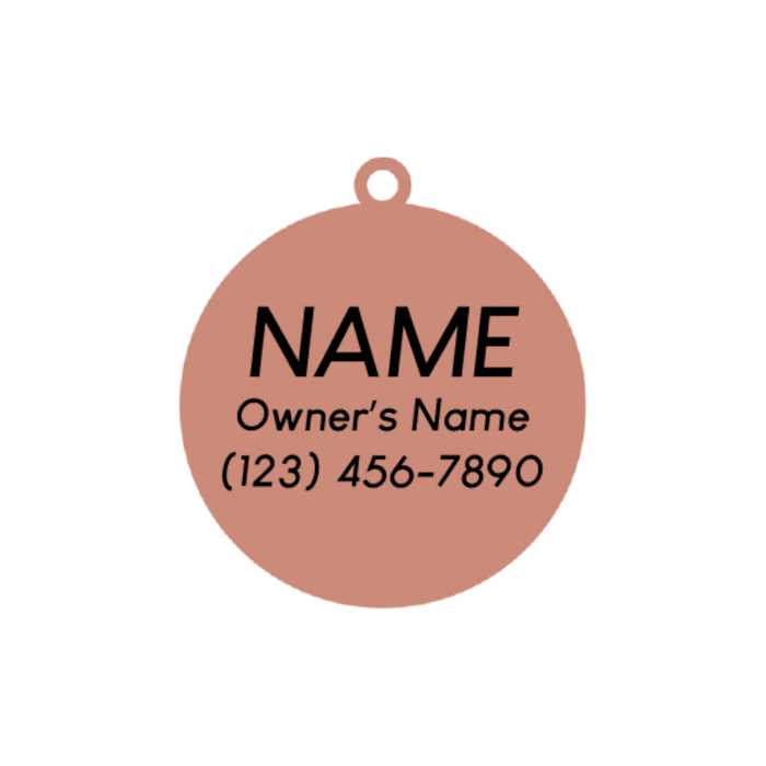 Rose Gold Pet ID Tag O645