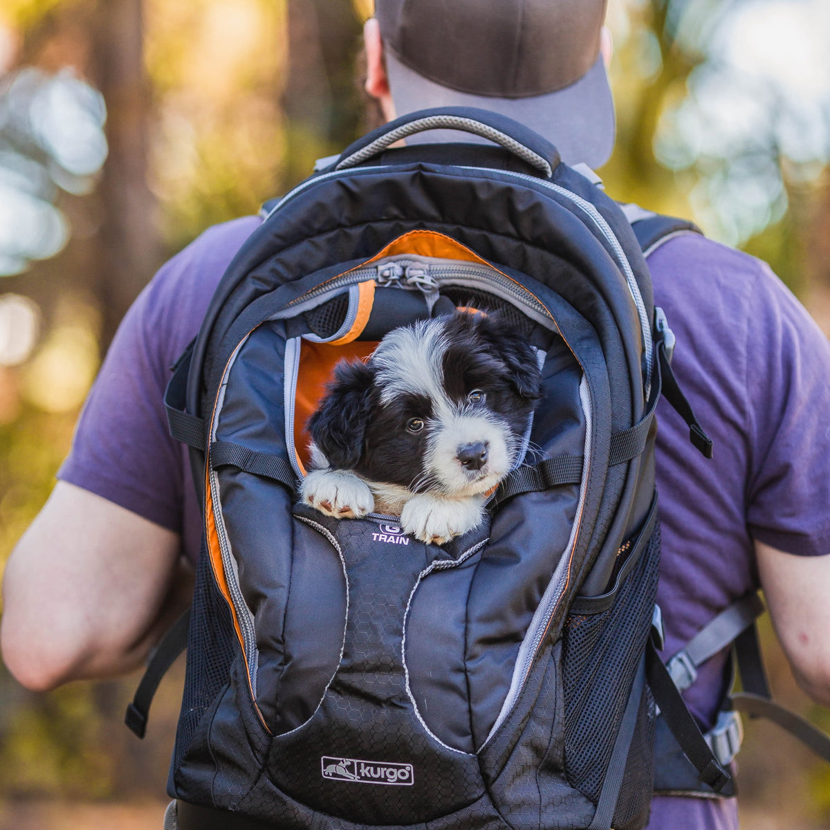 Navy Blue Dog Carrier Backpack R7193