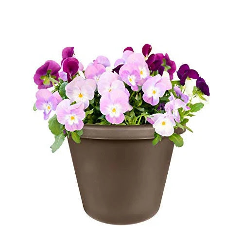 Classic Pot 8 inch Y838