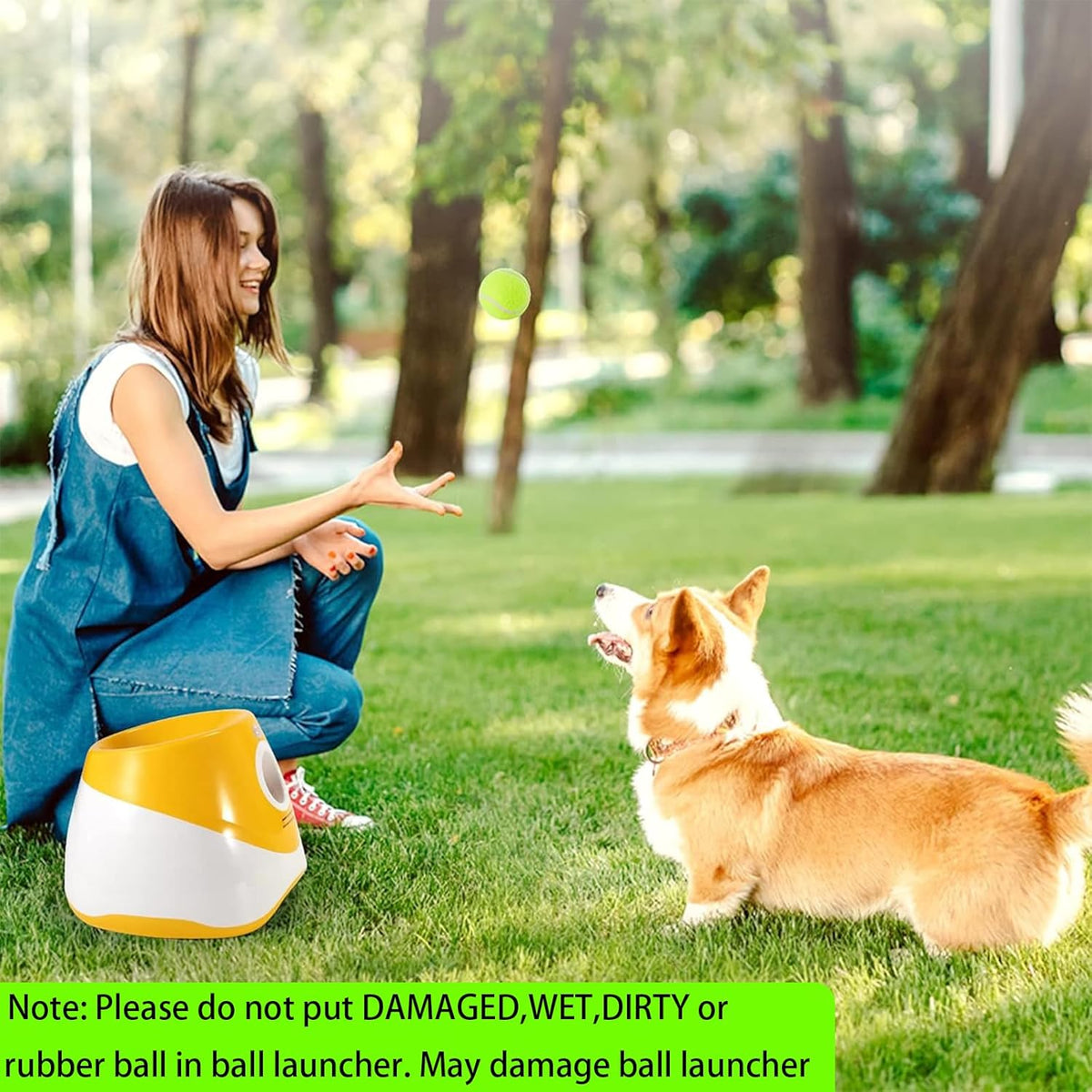 Rechargeable Automatic Dog Ball Launcher with 12 Tennis Balls H363