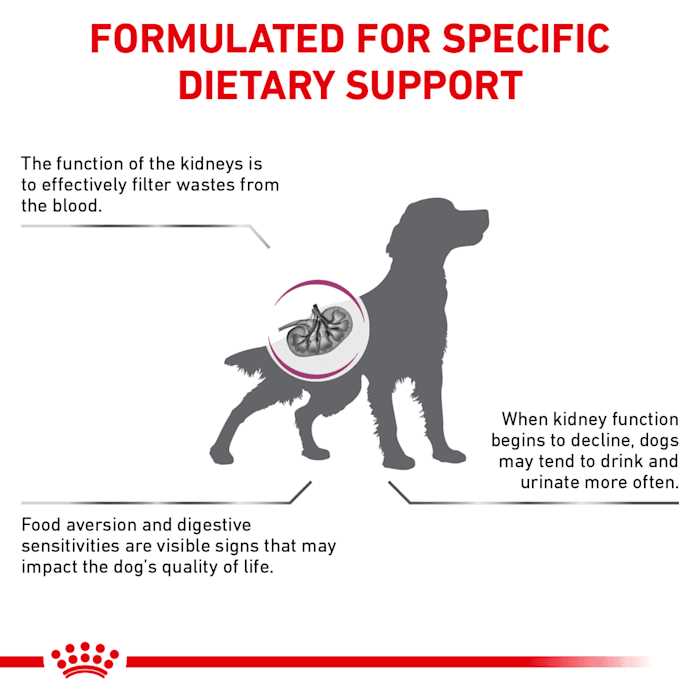 Veterinary Diet Renal Support Dry Dog Food J375