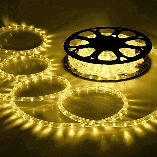 150ft Warm White 2 Wire LED Rope Light T870780