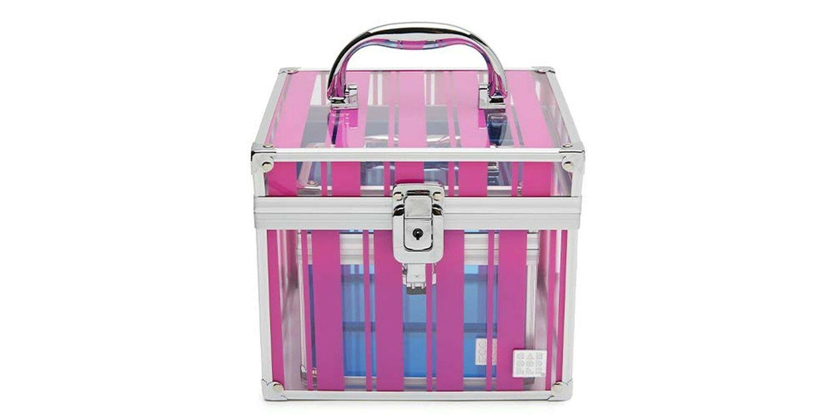 Fuschia Stripes Cosmetic Train Case with Bonus Case A40190