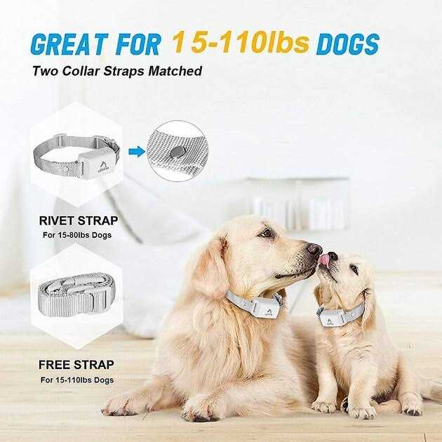Anti-Bark Training Dog Collar A404