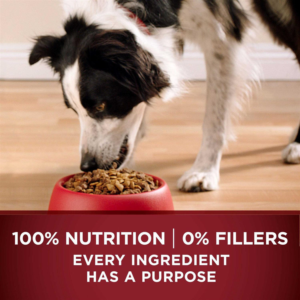 Grain Free Natural Dry Dog Food H893