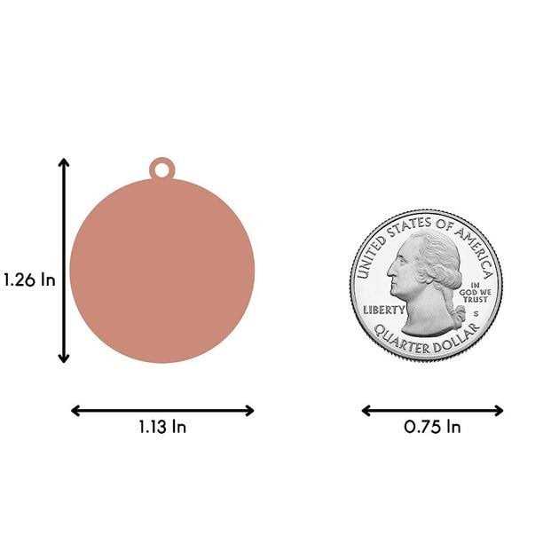 Rose Gold Pet ID Tag O645