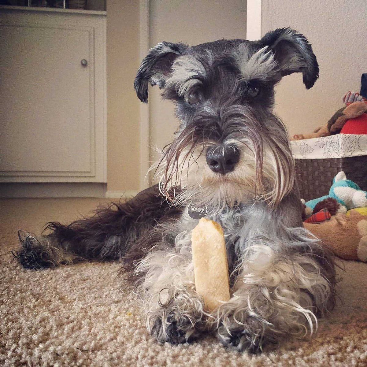 Himalayan Yak Cheese Dog Chew XL R42786