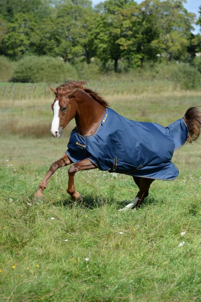 Navy Irish Turnout Extra D137450