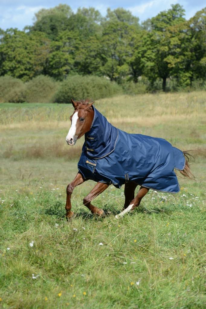 Navy Irish Turnout Extra D137450