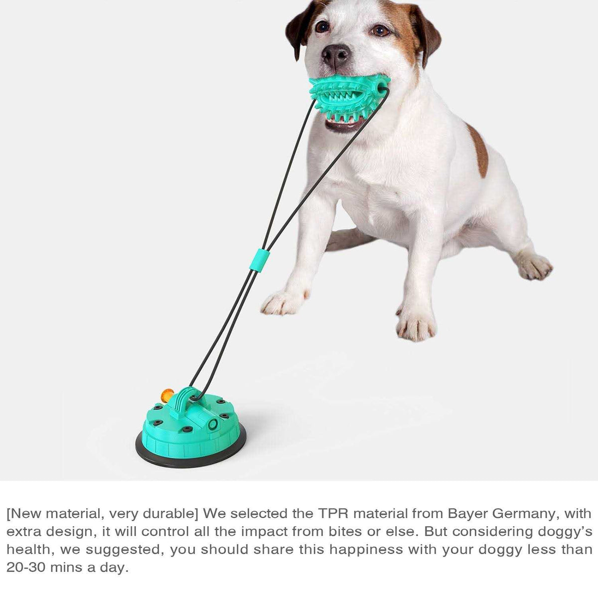 Toothbrush Dog Chew Toy L3757